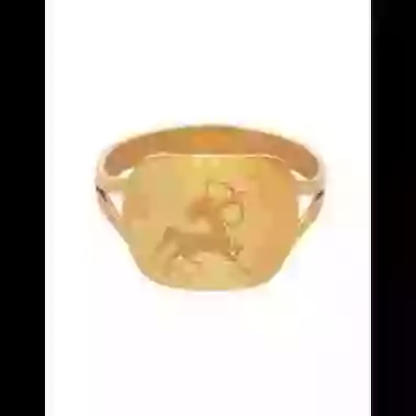 Bague Rectangle Emblème Zodiaque image cachée