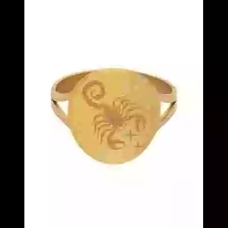 Bague Ronde Embl&egrave;me Zodiaque en Or Personnalisable image cachée