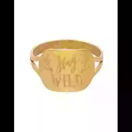 Bague Rectangle Or Stay Wild image cachée