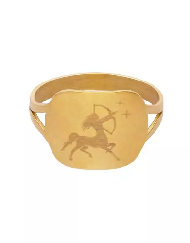 Bague Rectangle Emblème Zodiaque