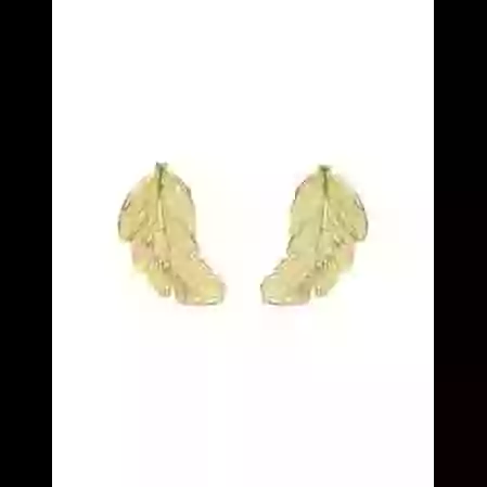 Boucles d&rsquo;Oreilles Plumes en Or image cachée