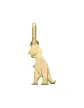 Pendentif Dinosaure Tyrannosaure Or