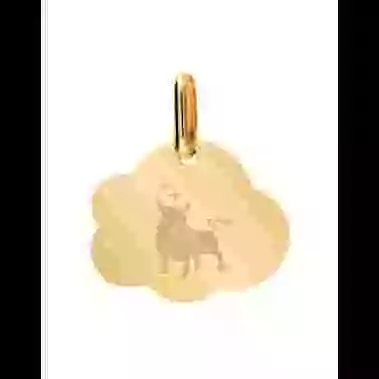 Médaille Nuage M Emblème Zodiaque image cachée