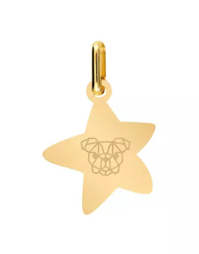 Médaille Étoile M Chien Origami
