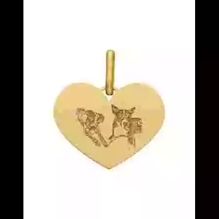 M&eacute;daille C&oelig;ur en Or &agrave; personnaliser avec une photo image cachée