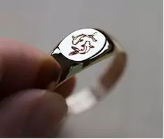 Chevali&egrave;re Zodiaque