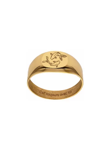 Petite Chevalière Ovale en Or - Poissons