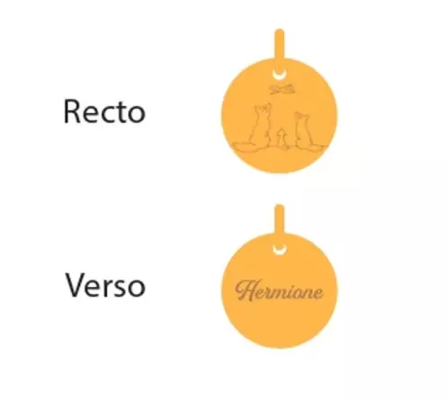 M&eacute;daille 3 Renards