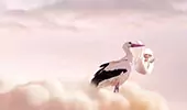 Naissance