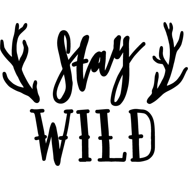 Icone aventure-03.png