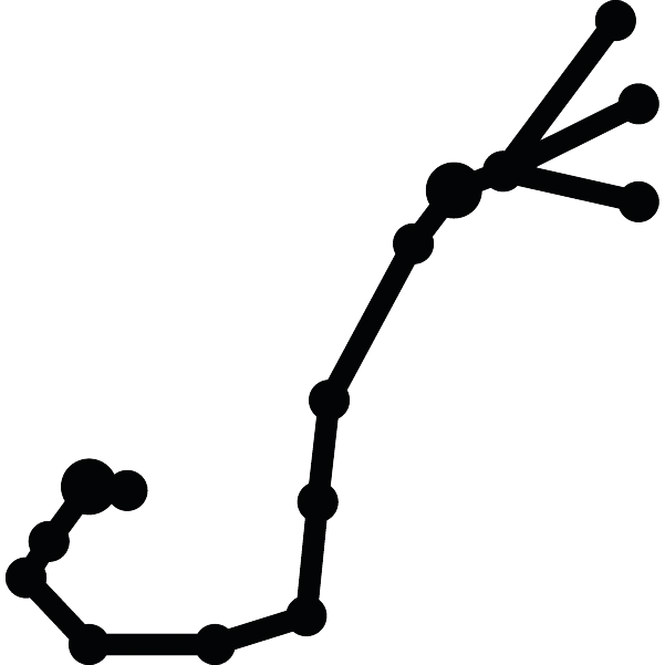 Icone constellation-05.png